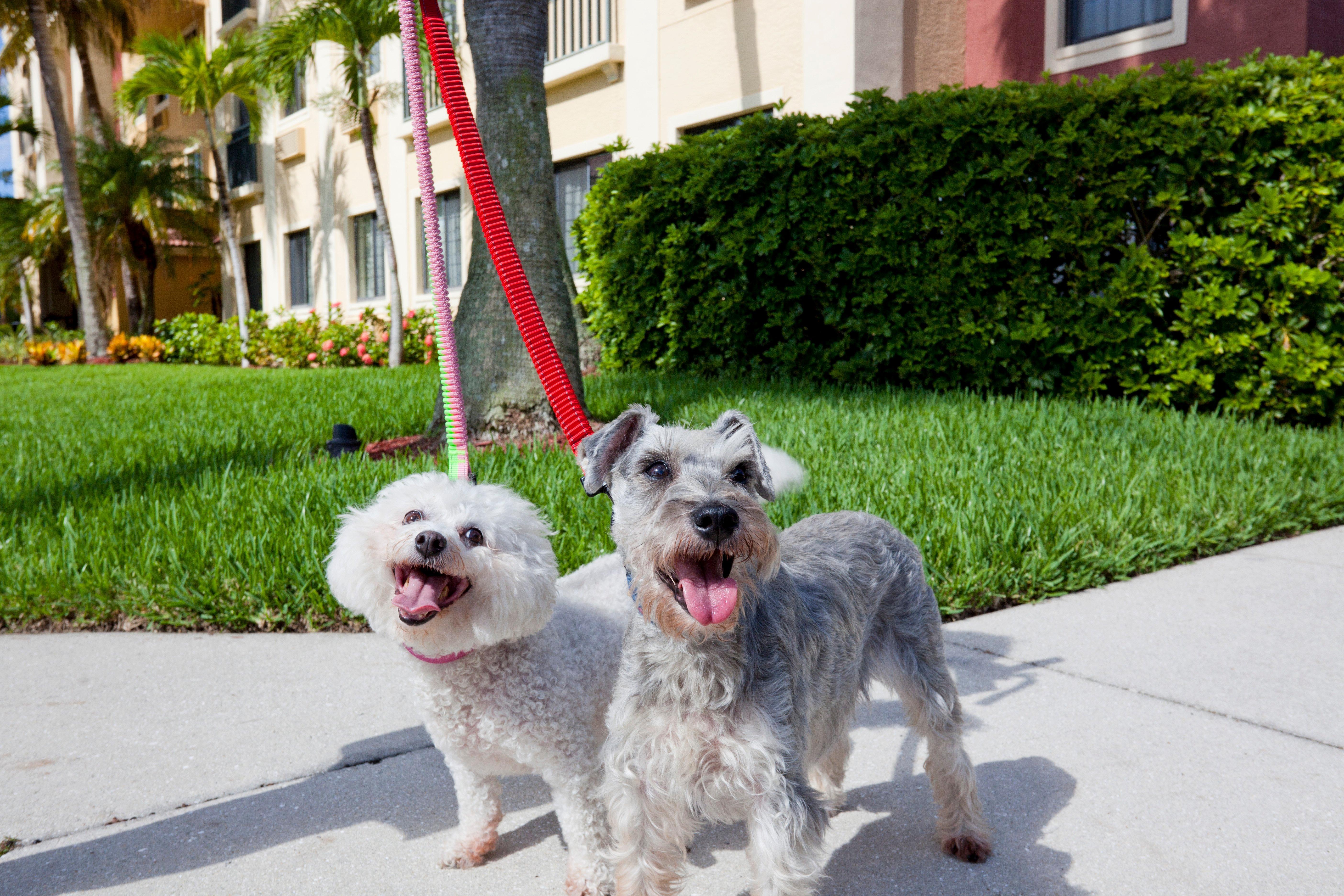 Staybridge Suites Naples - Gulf Coast, An Ihg Hotel Exteriör bild