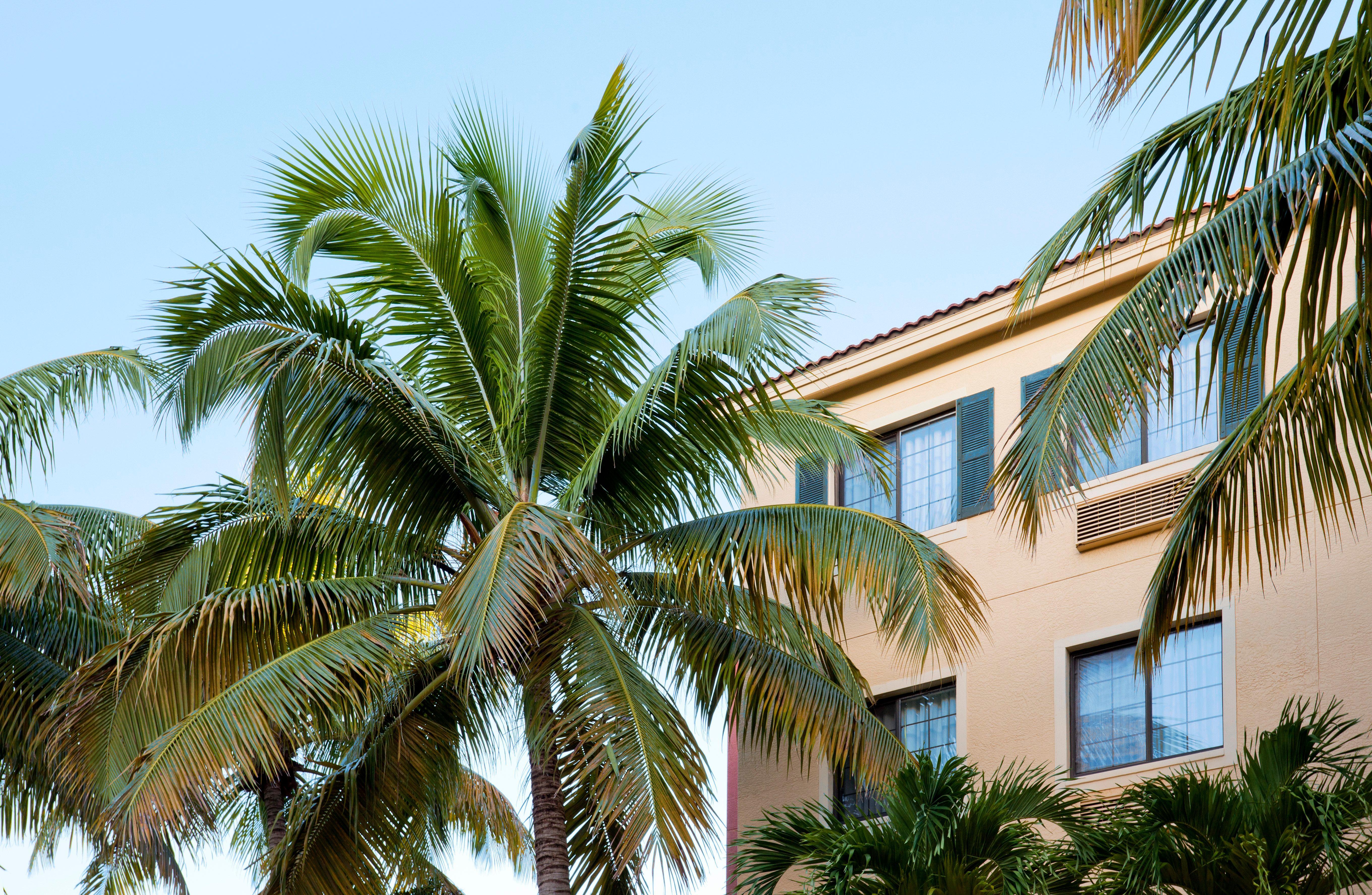Staybridge Suites Naples - Gulf Coast, An Ihg Hotel Exteriör bild